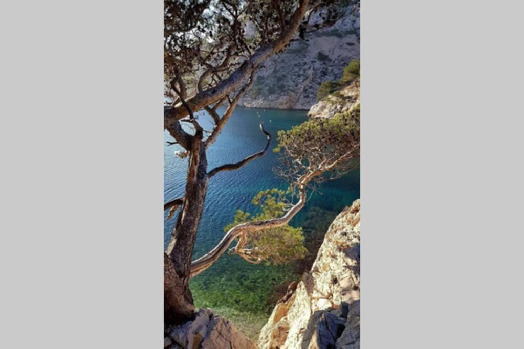 Suite Sur La Mer Marseille Corniche المظهر الخارجي الصورة